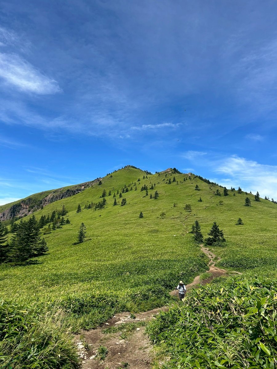 Alpine Meadow Hiking in Nagano, Chubu