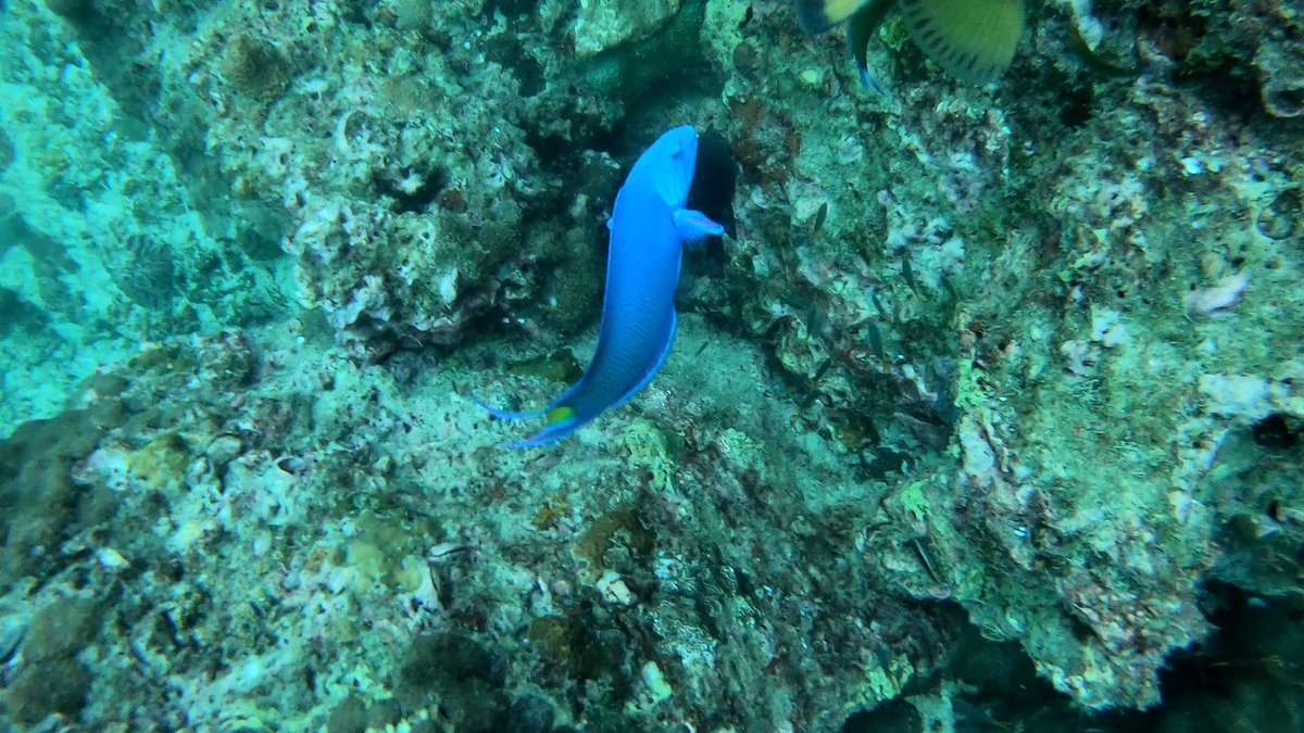 Turquoise Bay Viewpoint, Malaysia photo 5
