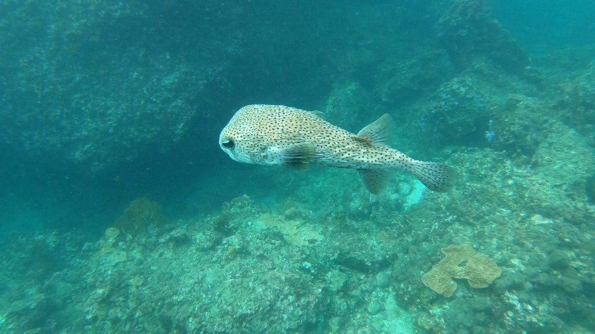 Turquoise Bay Viewpoint, Malaysia photo 6