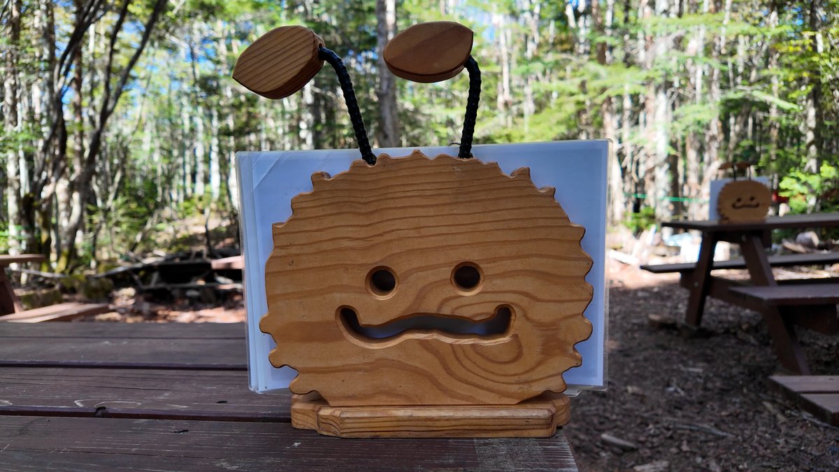 Wooden Bug Friend in Nagano's Forest, June