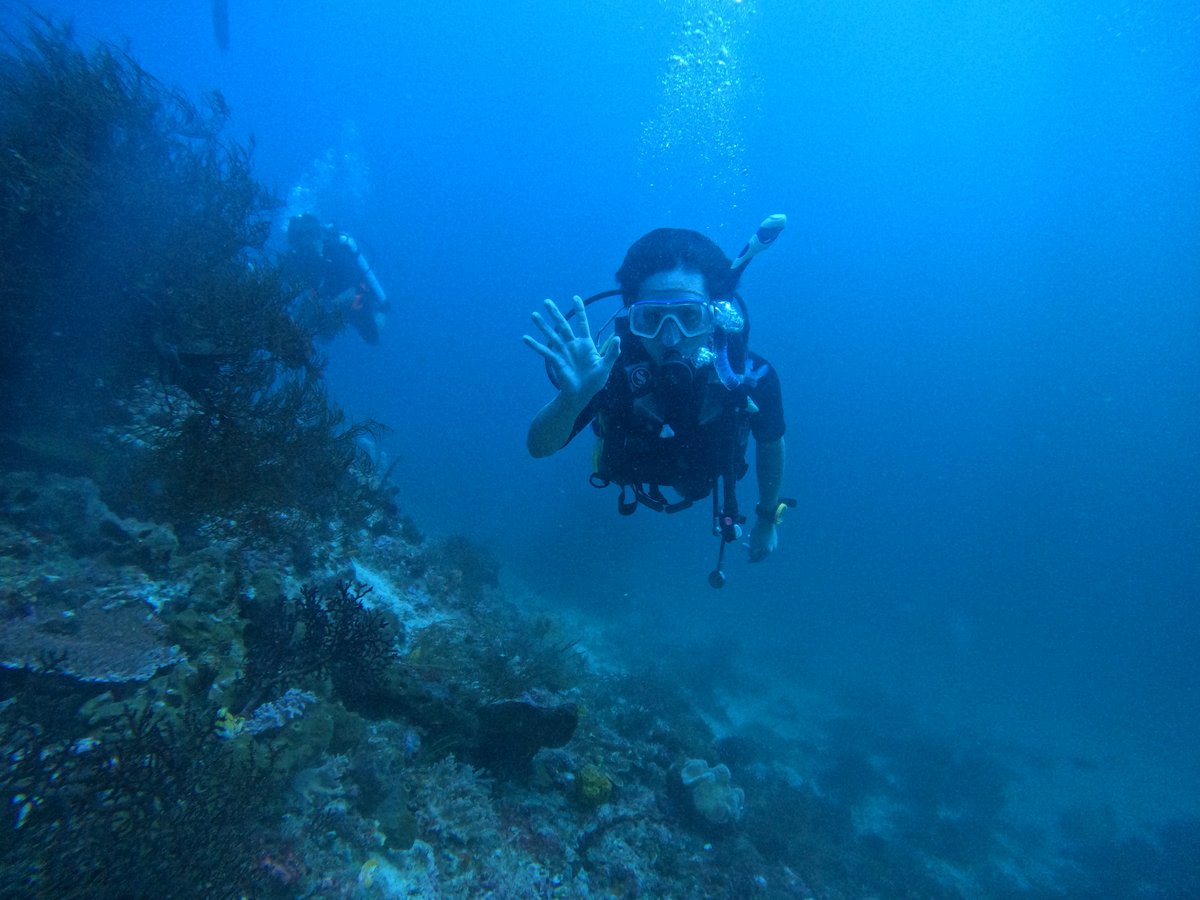 Diving Raja Ampat's Pristine Coral Reefs, Indonesia