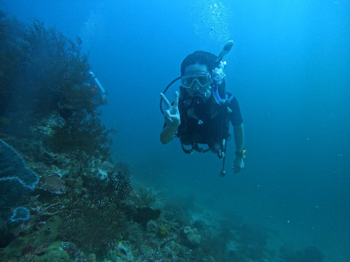 Diving Raja Ampat's Pristine Coral Reefs, Indonesia photo 2
