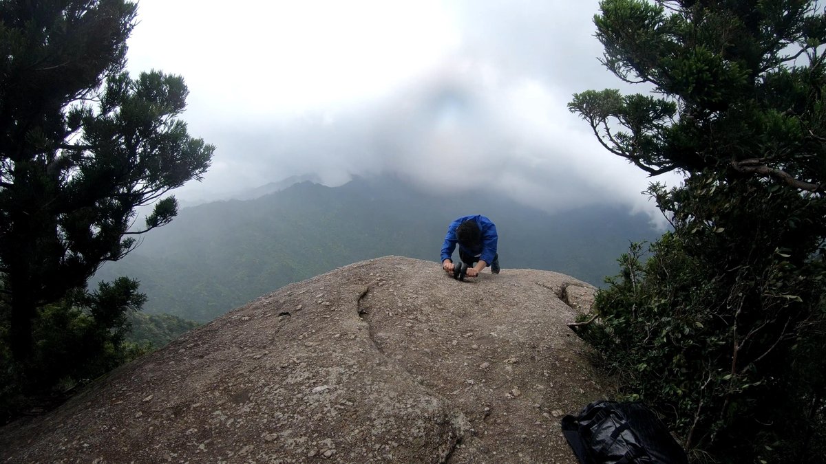 Mountain Rock Perch, Yakushima's Misty Peaks