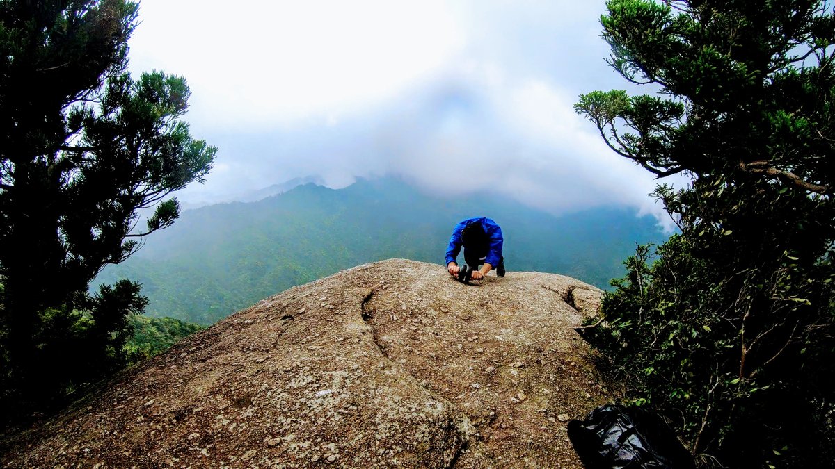 Yakushima Summit View, Kagoshima — July Alpine Mist