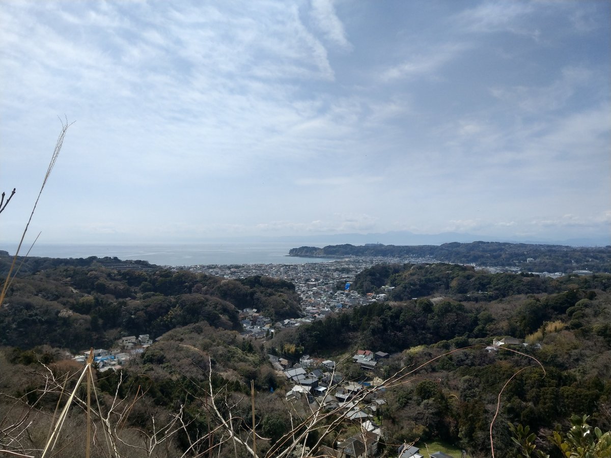 Early Spring Valley View Over Kamakura