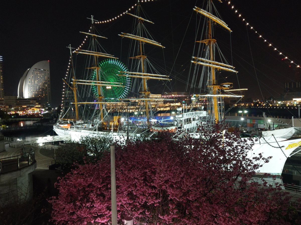 Minato Mirai at Night: Cherry Blossoms & Tall Ships, Yokohama