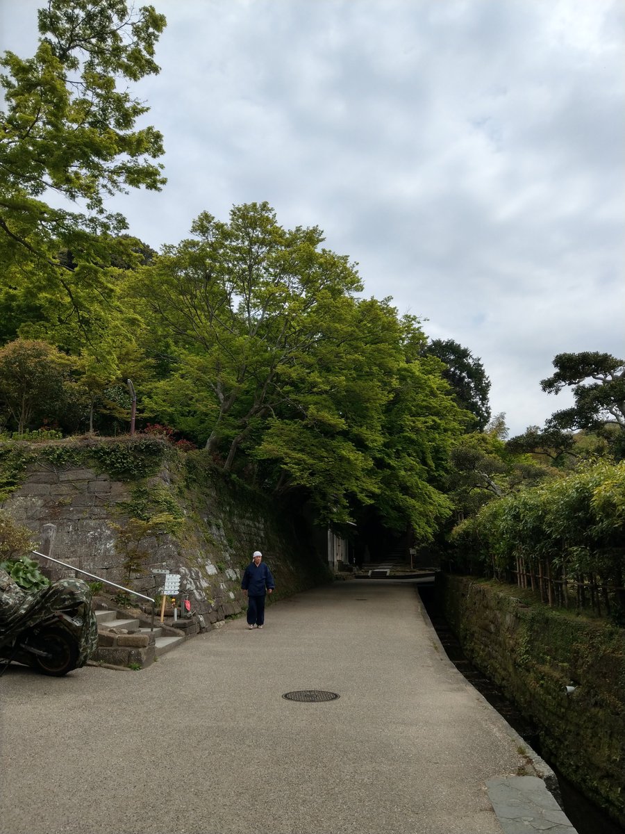 Spring Walk Through Kamakura's Imaizumidai Neighbourhood