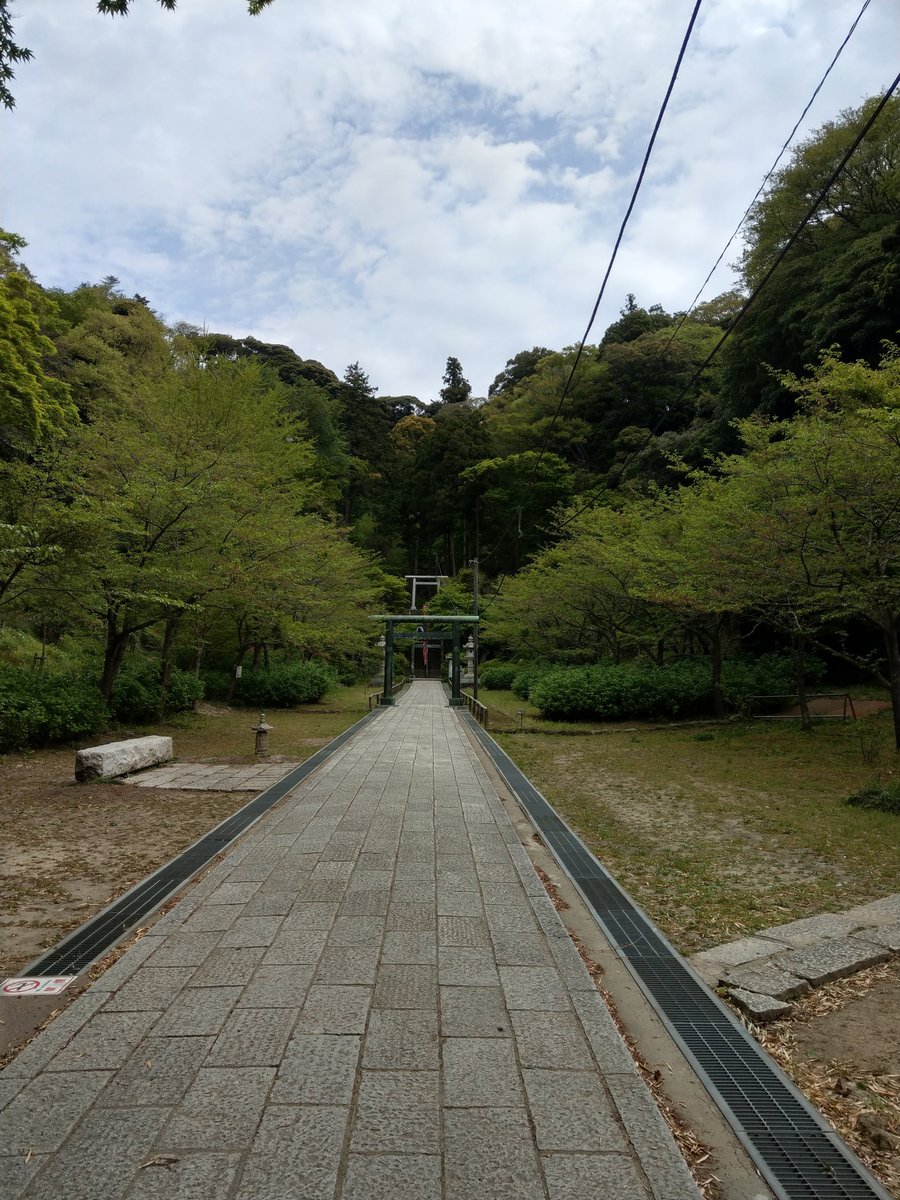 Spring Walk Through Kamakura's Imaizumidai Neighbourhood photo 2