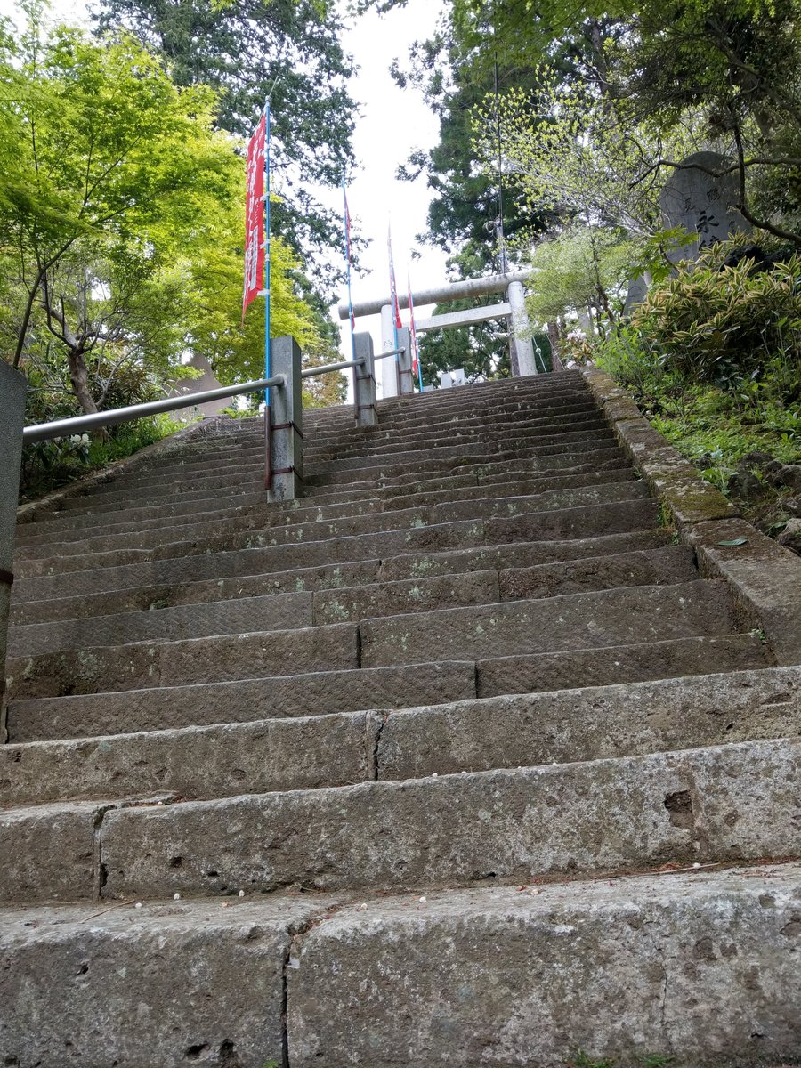 Spring Walk Through Kamakura's Imaizumidai Neighbourhood photo 3