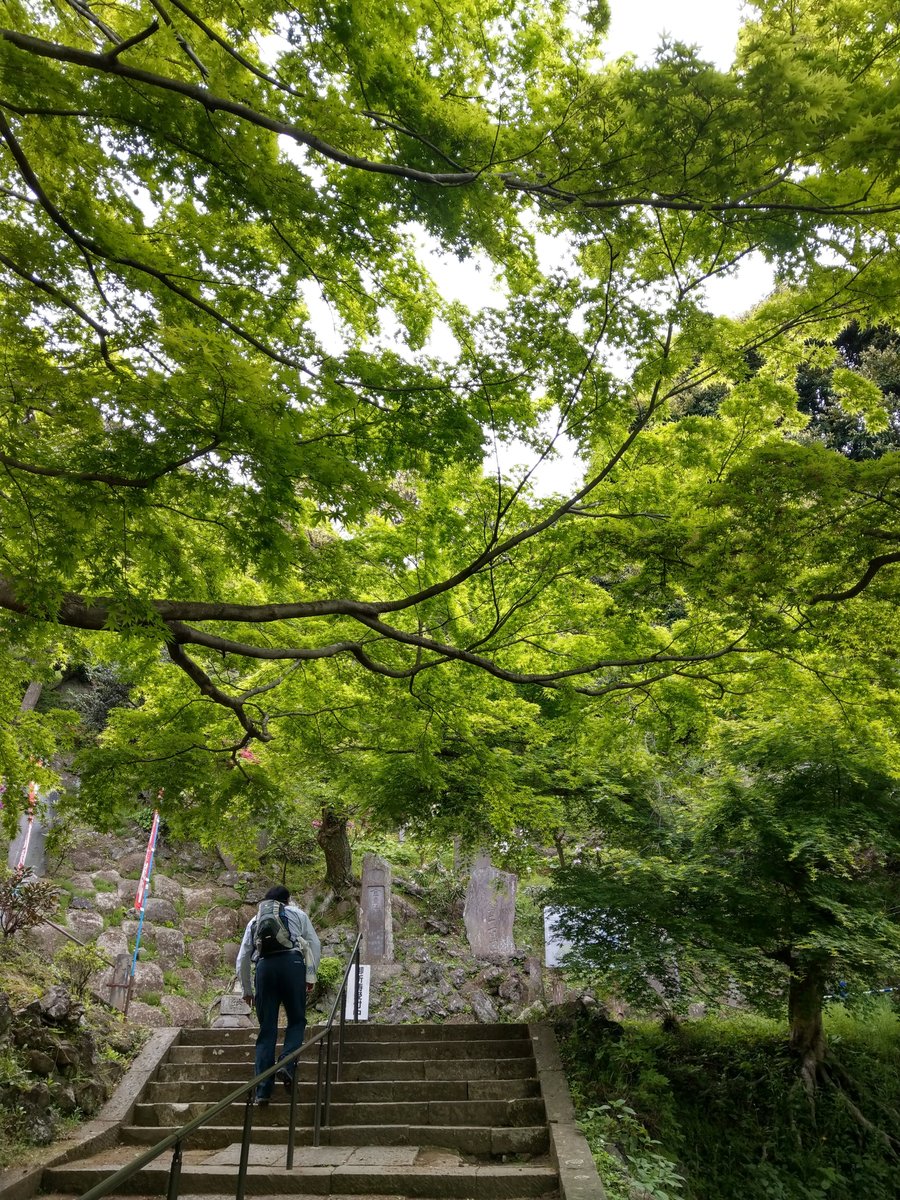 Spring Walk Through Kamakura's Imaizumidai Neighbourhood photo 4