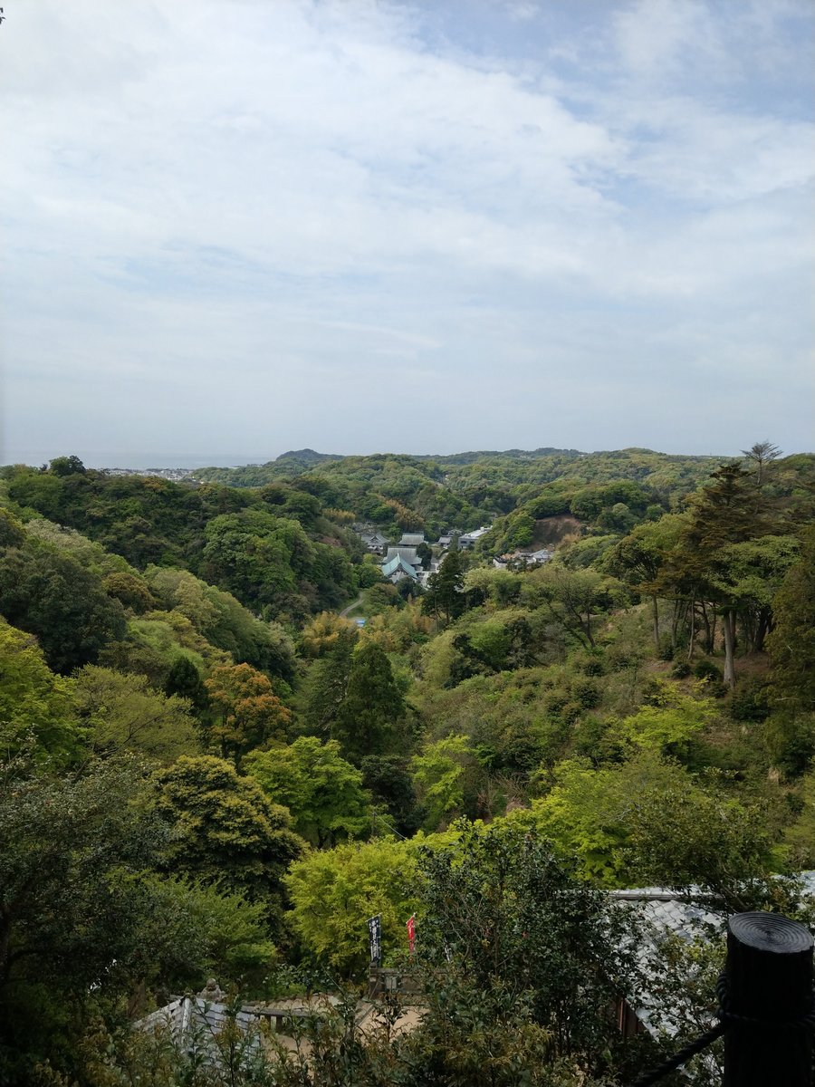 Spring Walk Through Kamakura's Imaizumidai Neighbourhood photo 5
