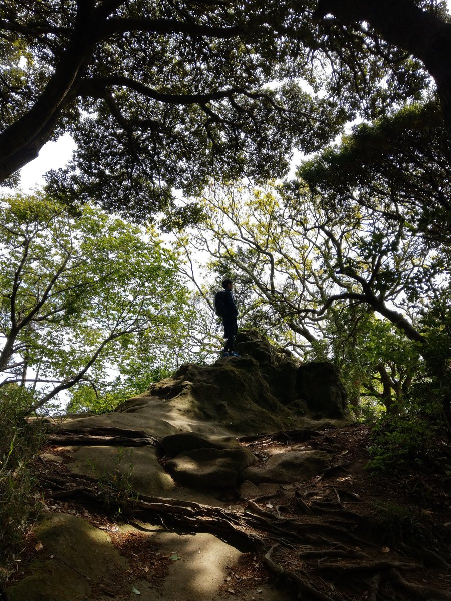 Hidden Forest Rock, Imaizumidai, Kamakura