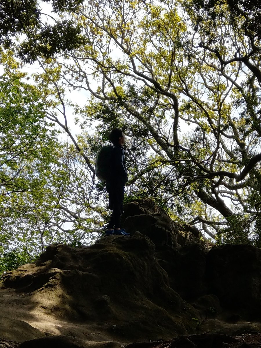 Hidden Forest Rock, Imaizumidai, Kamakura photo 2