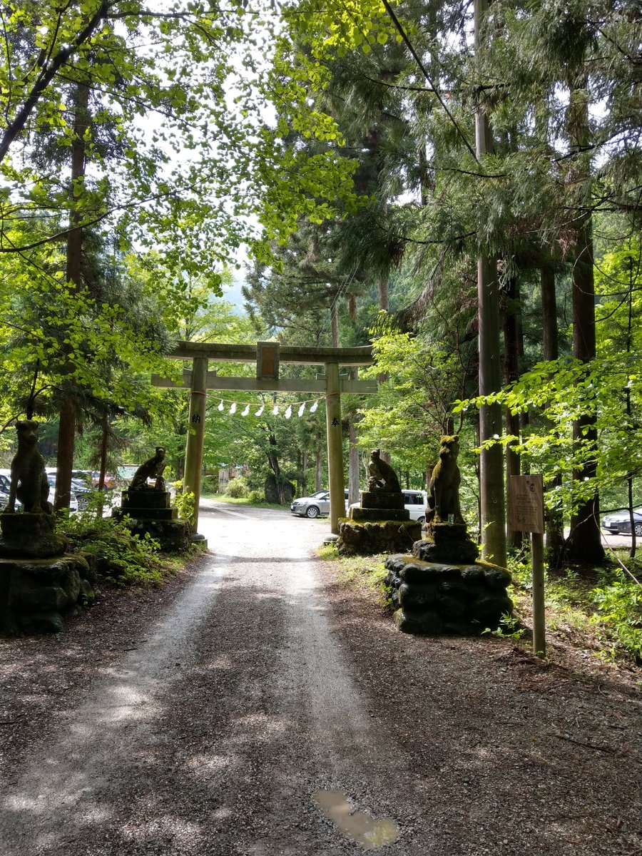 Shrine Approach Through Old-Growth Forest, Yokoze