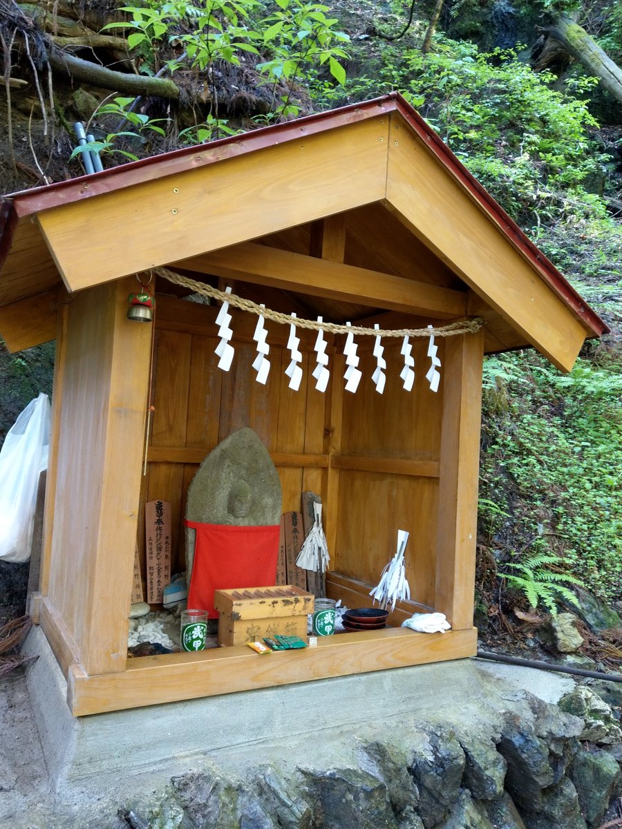 Forest Trail in Yokoze, Saitama — May Light photo 3