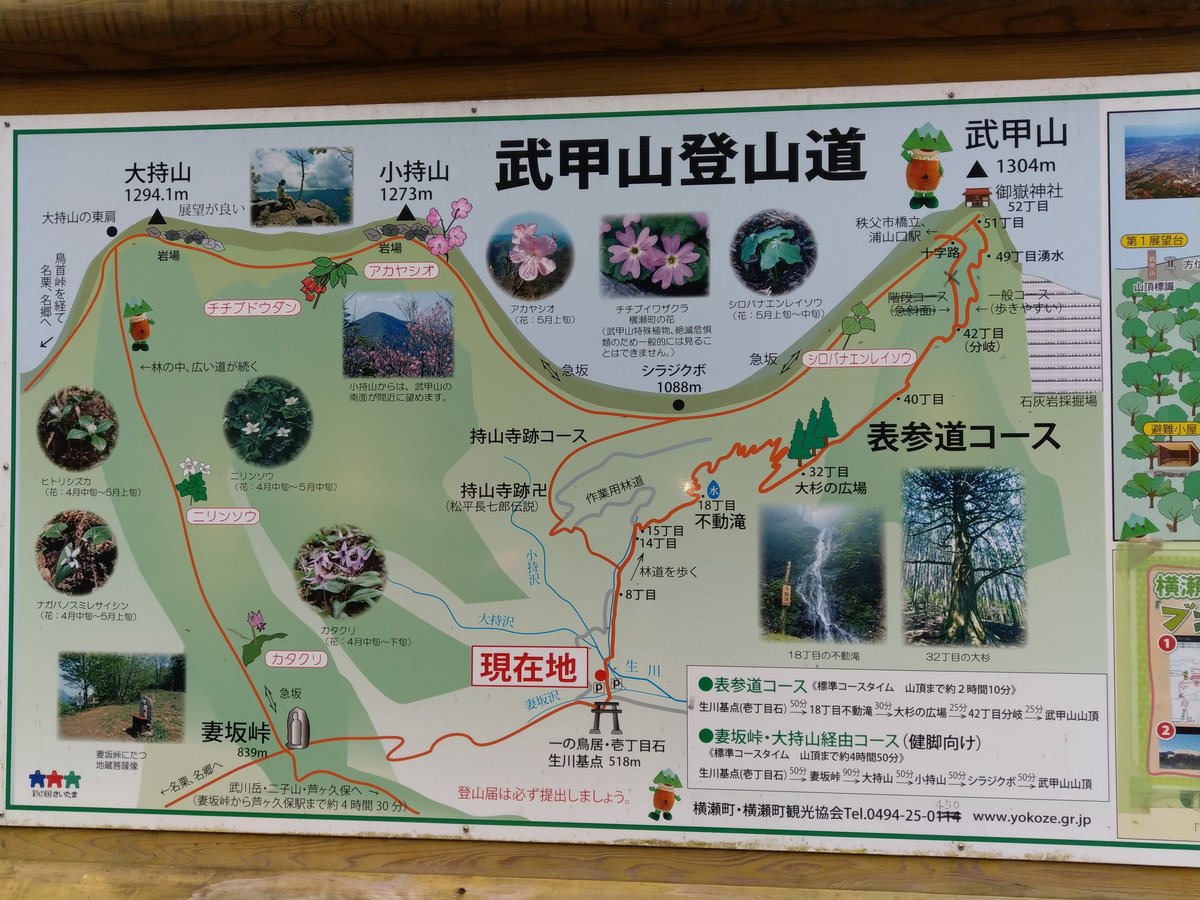 Shrine Approach Through Old-Growth Forest, Yokoze photo 3