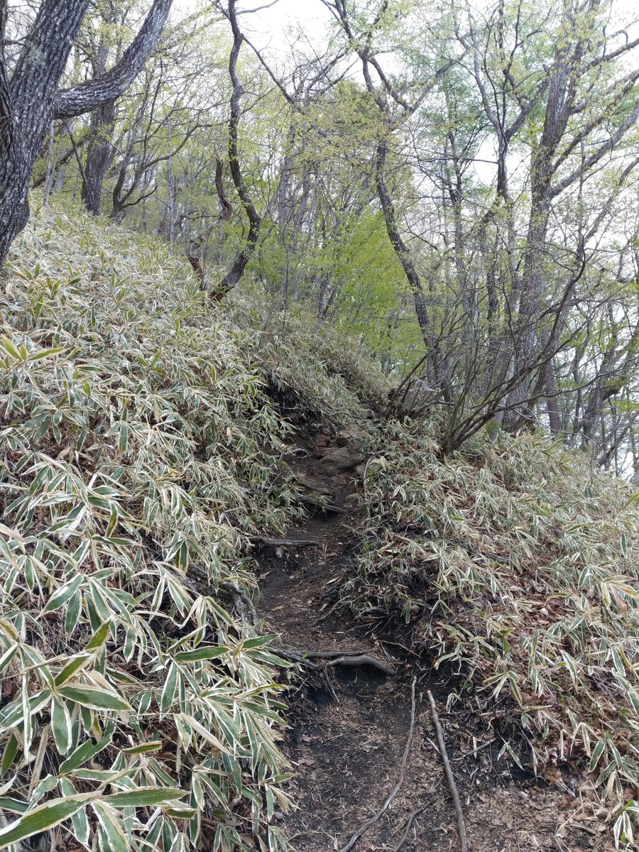 Mt. Haruna Forest Trail, Takasaki, Gunma