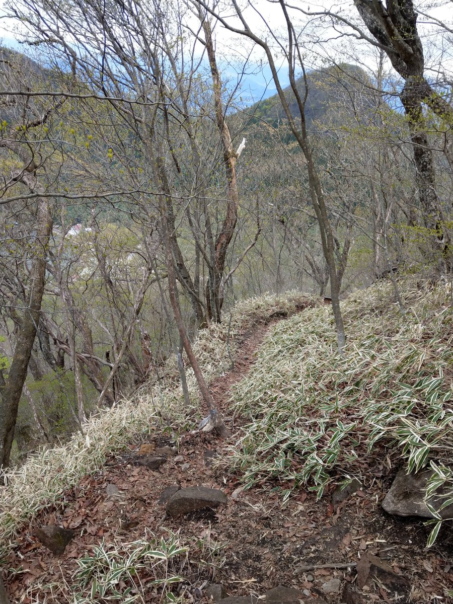 Mt. Haruna Spring Hike, Takasaki Gunma photo 8