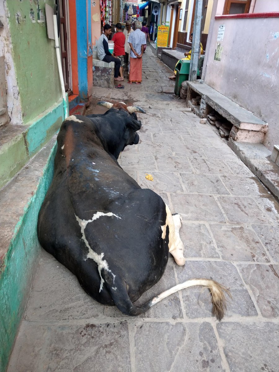 Dawn at the Ganges, Varanasi photo 5