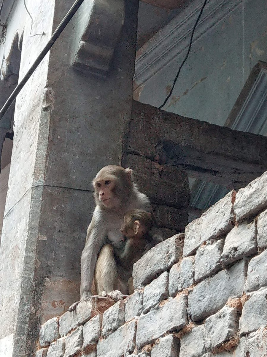 Dawn at the Ganges, Varanasi photo 6