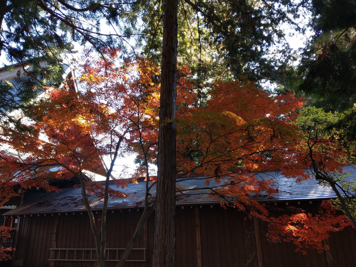Calligraphy at a Mountain Retreat, Yamanashi photo 4