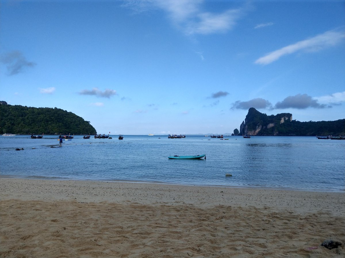 Unexpected Beach Encounter with a Macaque, Malaysia photo 5