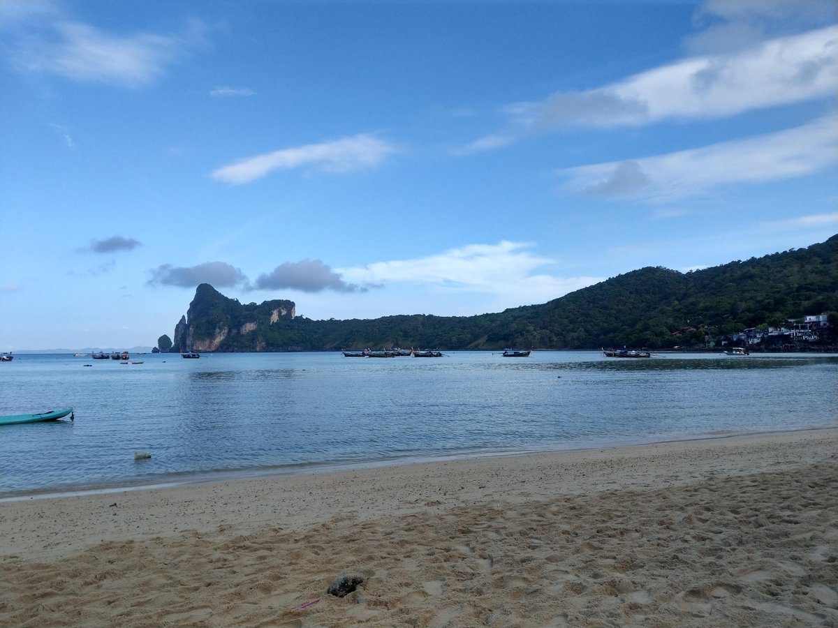 Unexpected Beach Encounter with a Macaque, Malaysia photo 6