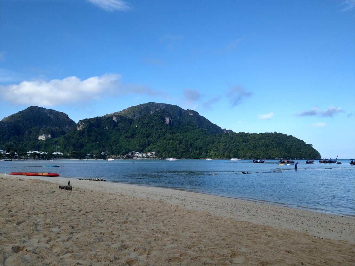 Unexpected Beach Encounter with a Macaque, Malaysia photo 7