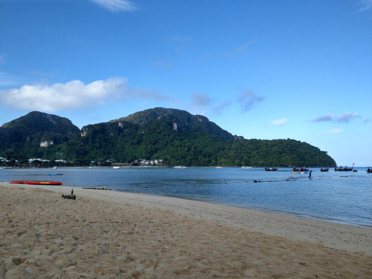 Unexpected Beach Encounter with a Macaque, Malaysia photo 8
