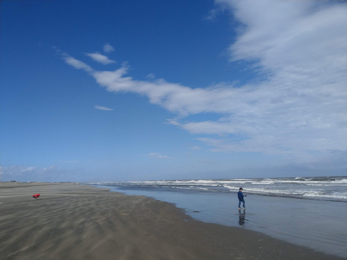 Empty Beach, Chiba Coast — Early Spring Bliss photo 3