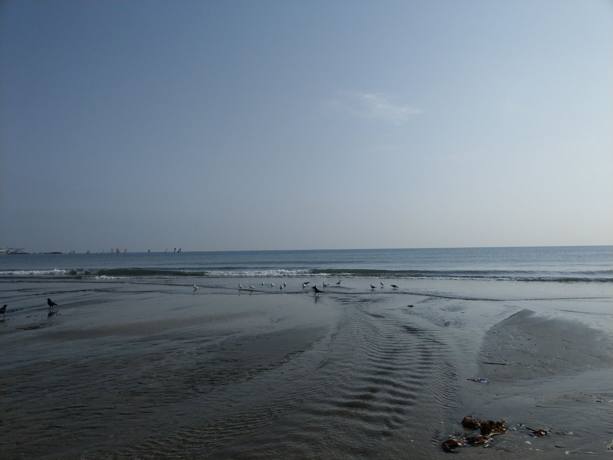 Kamakura Beach Early Spring Glow, Kanagawa photo 3