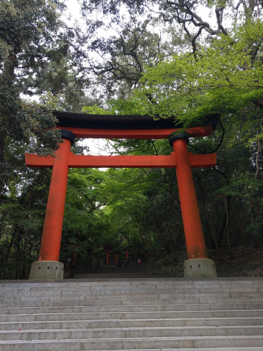 Spring at a Historic Shrine, Oita Prefecture photo 4