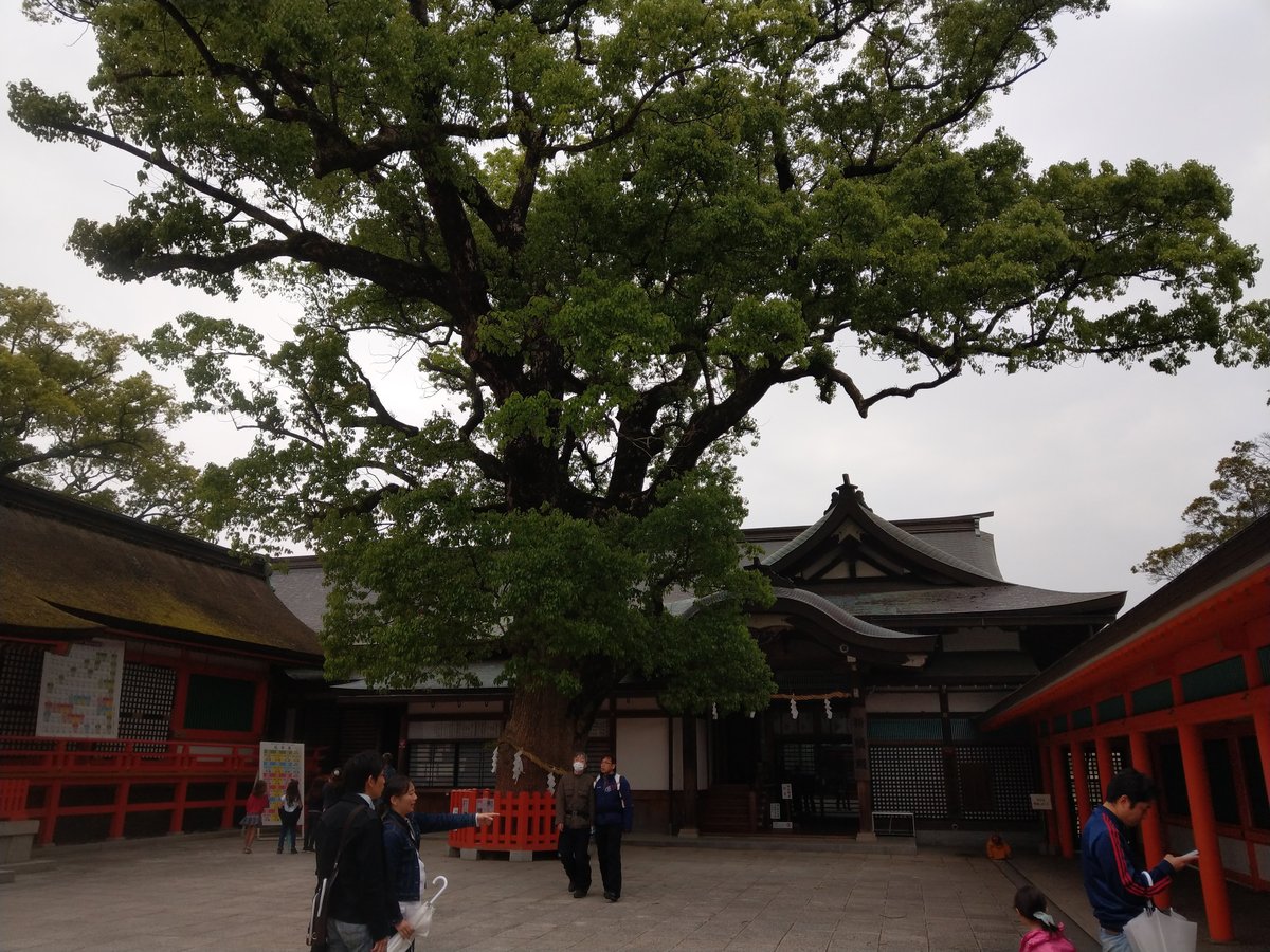 Spring at a Historic Shrine, Oita Prefecture photo 6