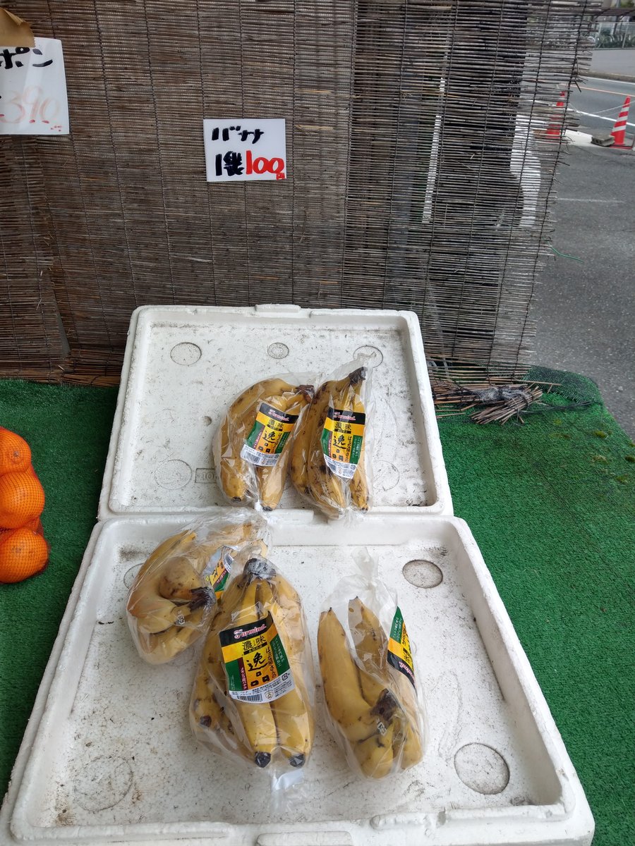 Spring Valley and Mountains, Kumamoto Prefecture photo 2