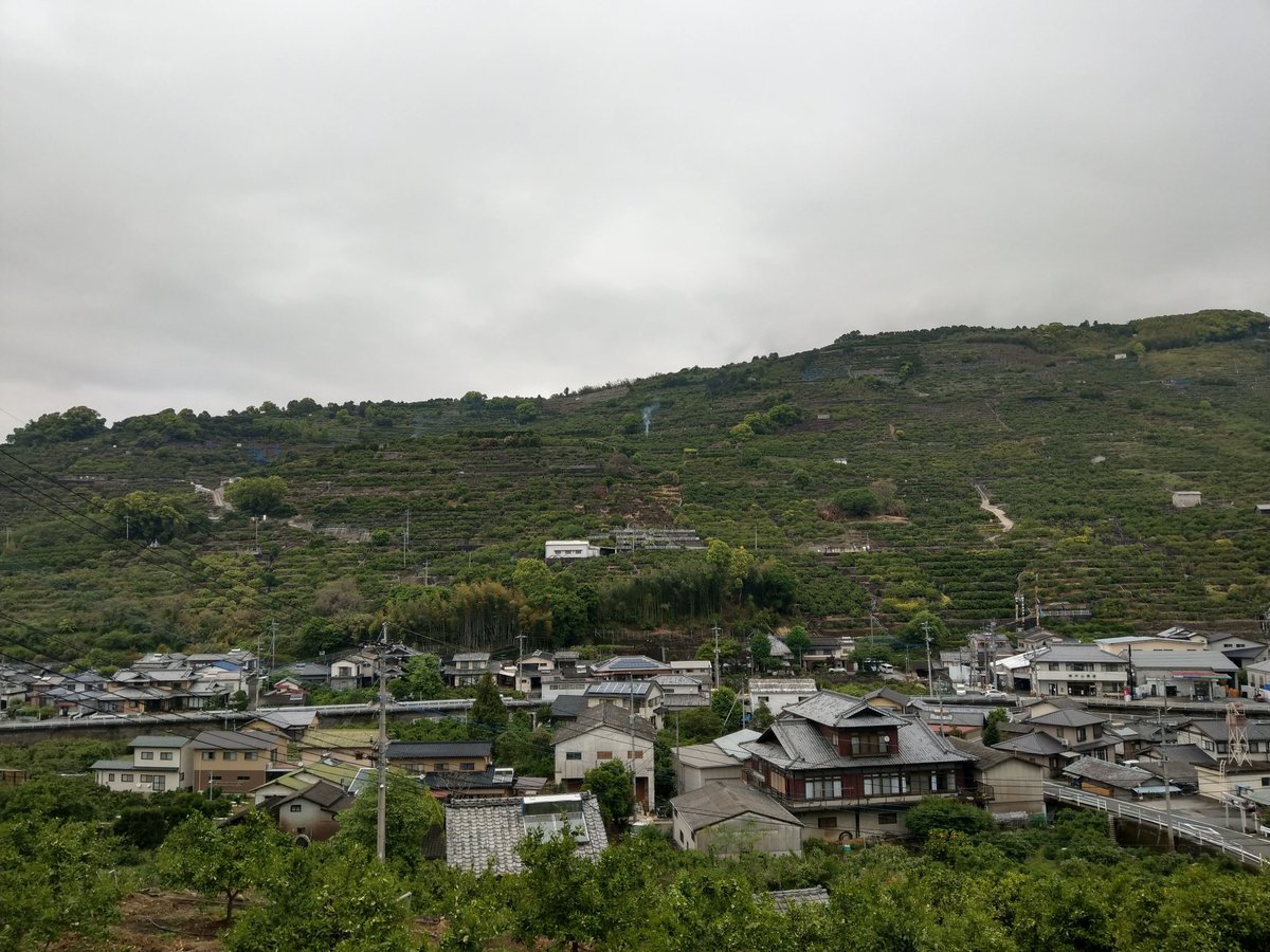 Spring Valley and Mountains, Kumamoto Prefecture photo 8