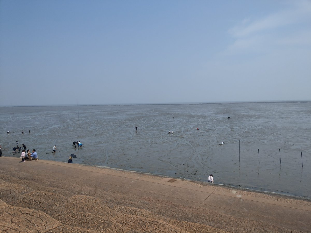 Spring Beach Day in Kumamoto, Kyushu