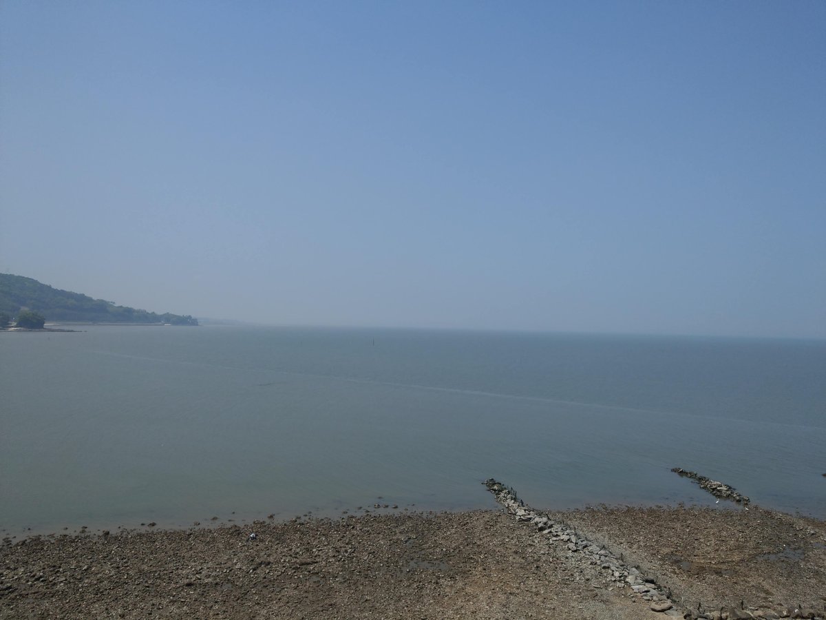 Spring Beach Day in Kumamoto, Kyushu photo 5