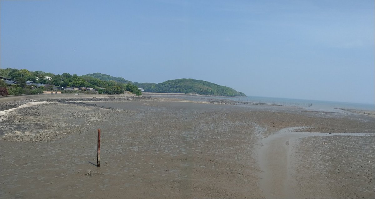 Spring Beach Day in Kumamoto, Kyushu photo 8