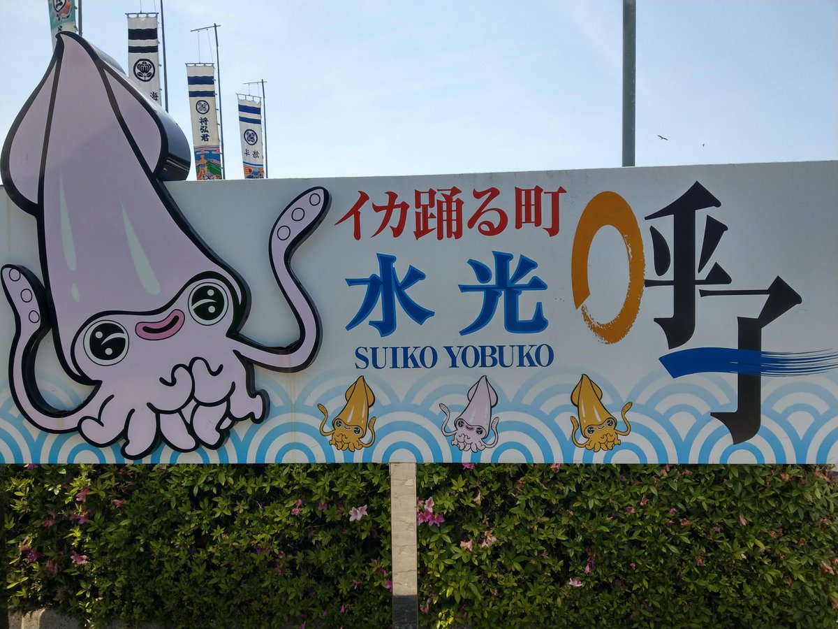 Suiko Yobuko, Saga — Squid Town Charm