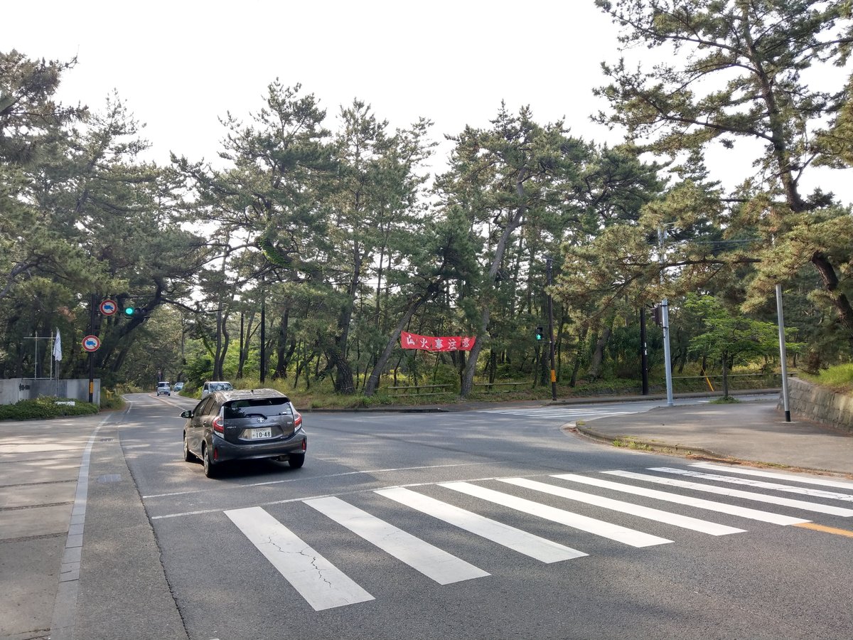 Spring Drive Through Saga's Tree-Lined Streets