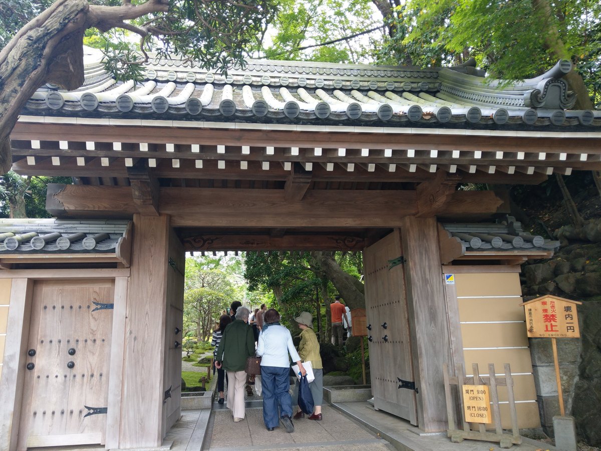 Tsurugaoka Hachimangū Shrine Approach, Kamakura photo 5