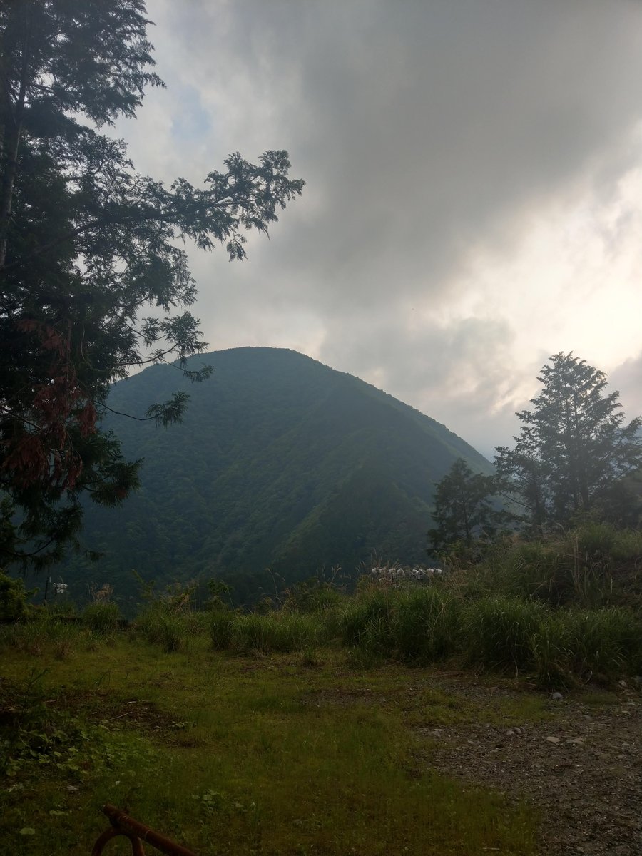Traditional Hot Spring Inn, Shizuoka Prefecture photo 3