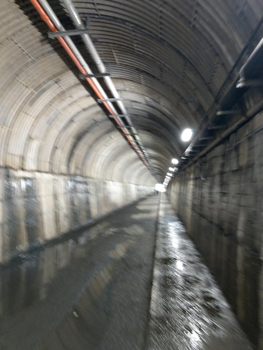 One of Japan's 100 Finest Nature Spots, Shizuoka photo 3