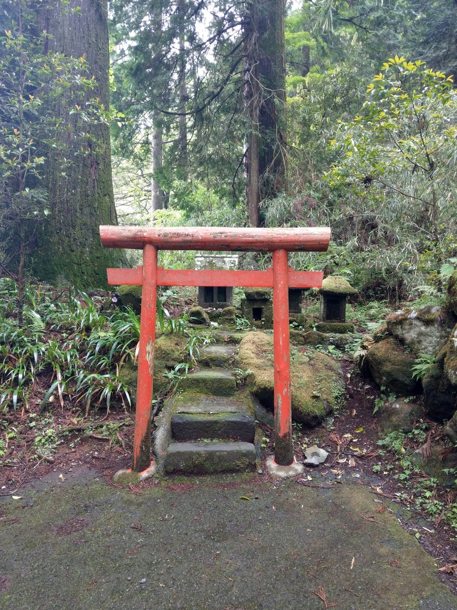 Hakone Shrine's Sacred Torii Gate, Kanagawa photo 2