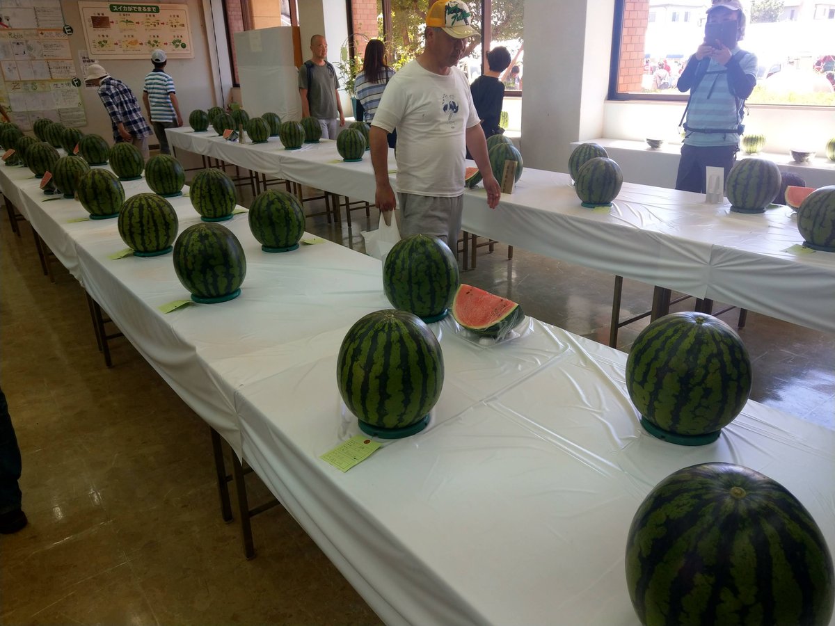 Summer Farmers Market Find in Chiba photo 2