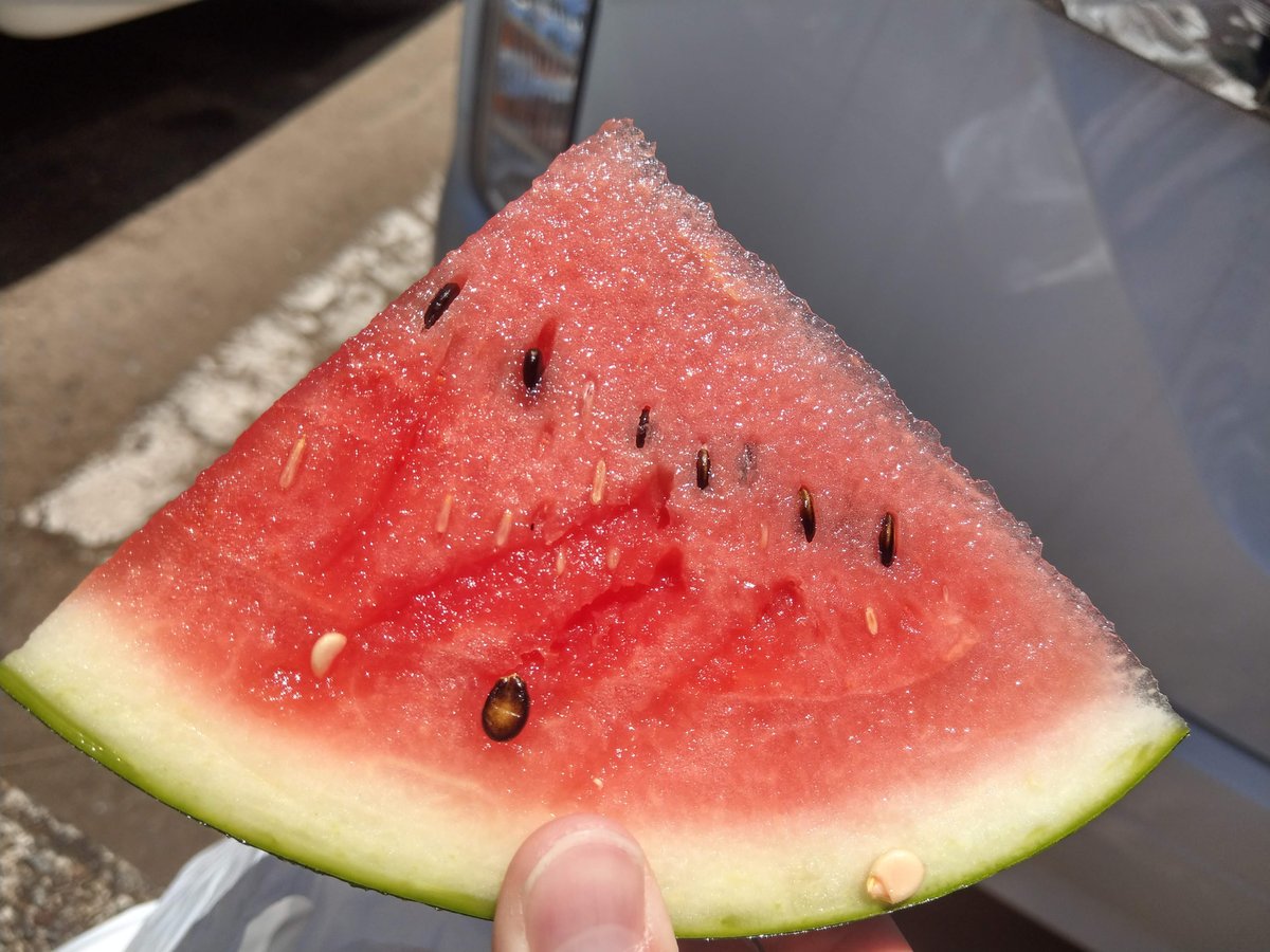 Summer Farmers Market Find in Chiba photo 3