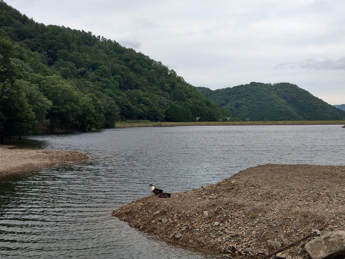 Summer by the Water, Hyogo Prefecture photo 2