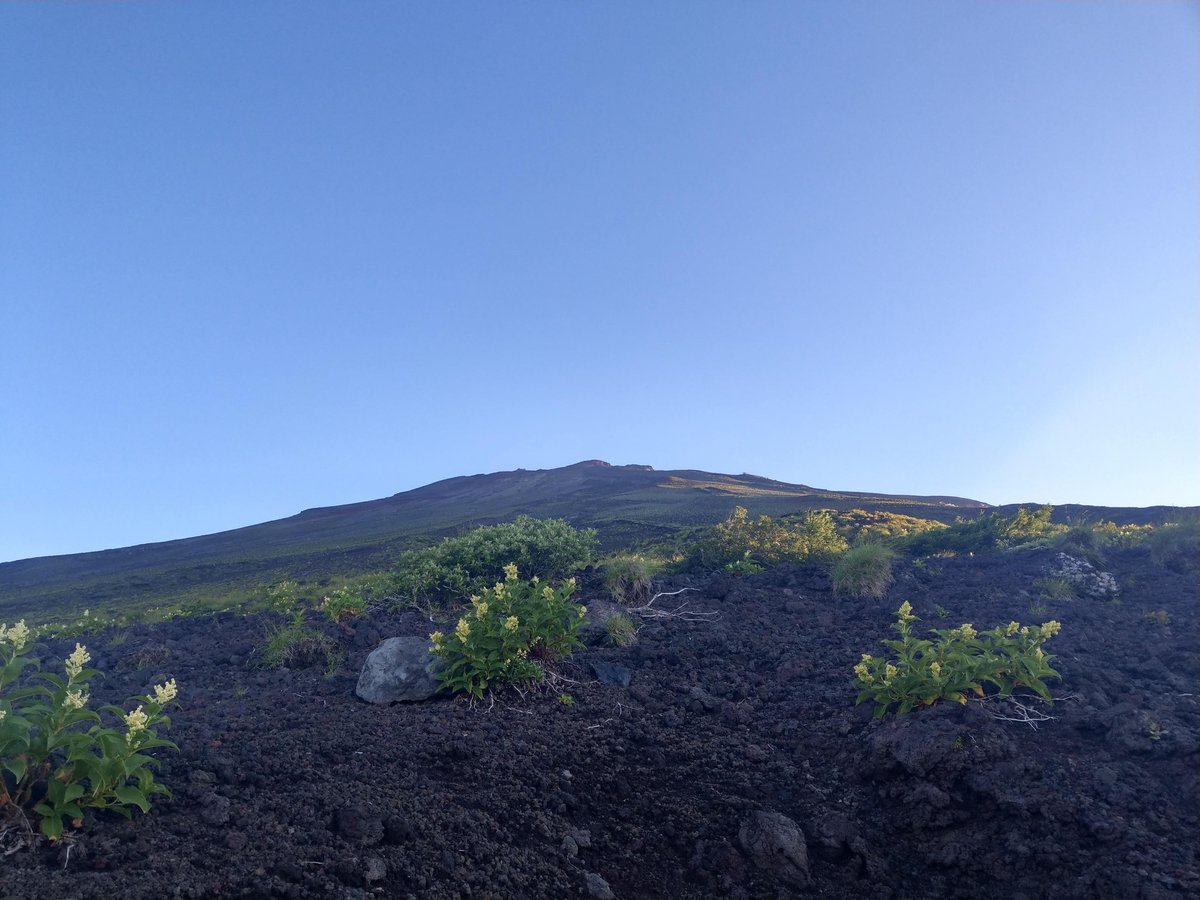 Mt. Fuji's Black Lava Fields, Shizuoka photo 2