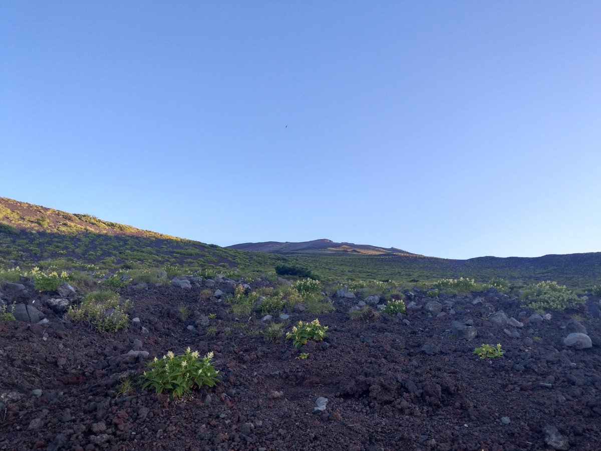 Mt. Fuji's Black Lava Fields, Shizuoka photo 3