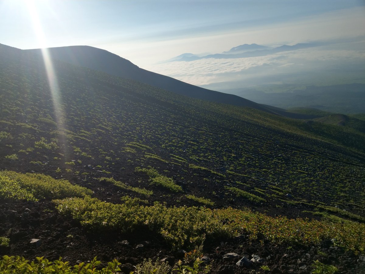 Mt. Fuji's Black Lava Fields, Shizuoka photo 6